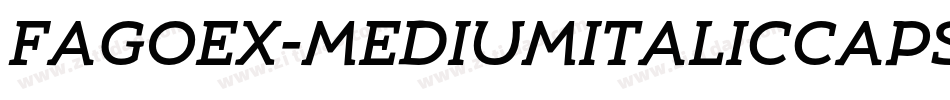 FagoEx-MediumItalicCaps字体转换