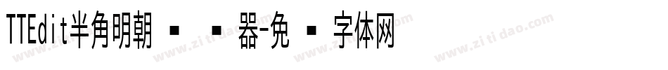 TTEdit半角明朝转换器字体转换