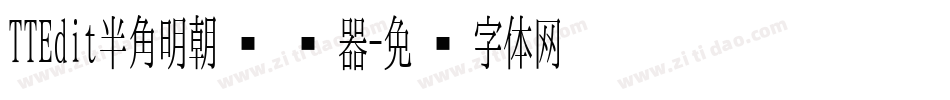 TTEdit半角明朝转换器字体转换