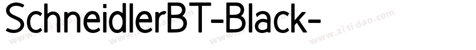 SchneidlerBT-Black字体转换