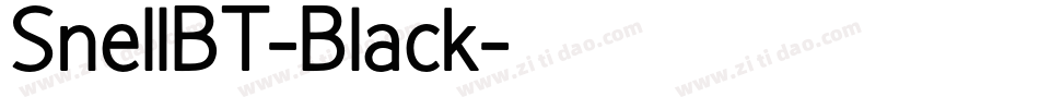SnellBT-Black字体转换