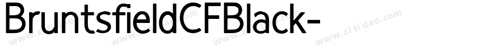 BruntsfieldCFBlack字体转换