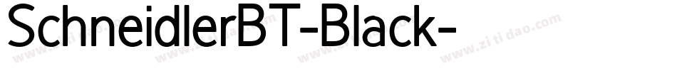 SchneidlerBT-Black字体转换