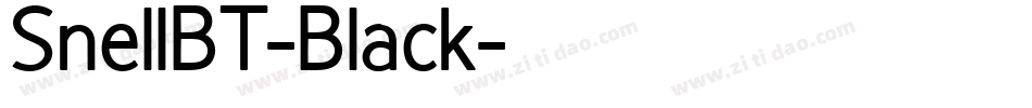 SnellBT-Black字体转换