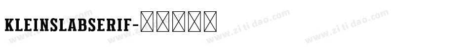 KleinSlabSerif字体转换 KleinSlabSerif字体转换