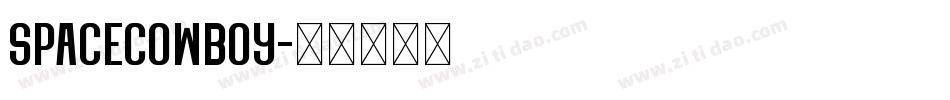 SpaceCowboy字体转换