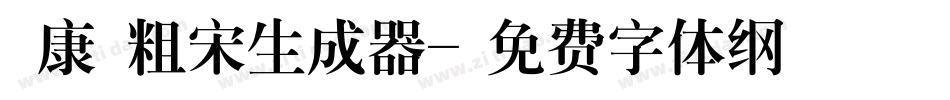 華康儷粗宋生成器字体转换