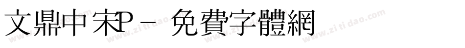 文鼎中宋P字体转换