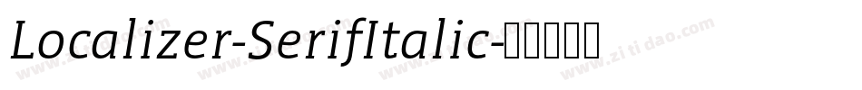 Localizer-SerifItalic字体转换