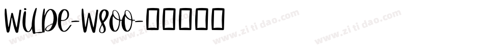 Wilde-W8OO字体转换