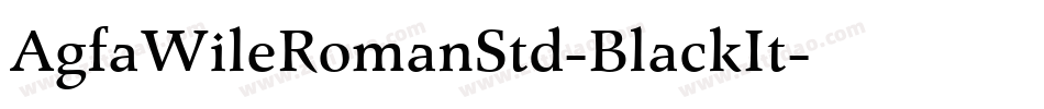 AgfaWileRomanStd-BlackIt字体转换