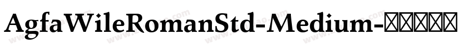 AgfaWileRomanStd-Medium字体转换