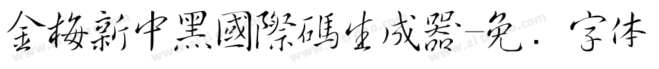 金梅新中黑國際碼生成器字体转换