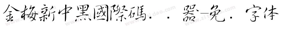 金梅新中黑國際碼转换器字体转换