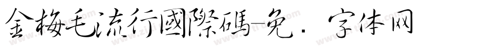 金梅毛流行國際碼字体转换