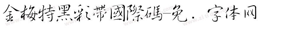 金梅特黑彩帶國際碼字体转换