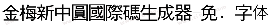 金梅新中圓國際碼生成器字体转换