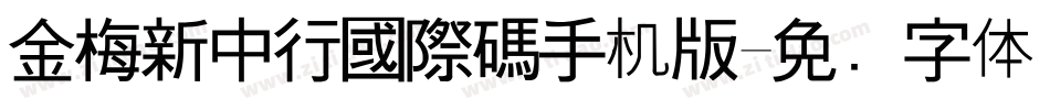 金梅新中行國際碼手机版字体转换