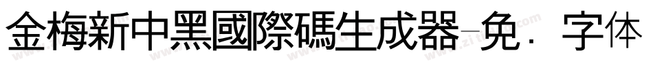 金梅新中黑國際碼生成器字体转换