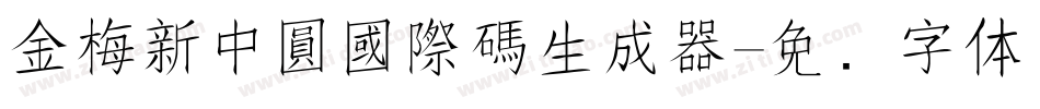 金梅新中圓國際碼生成器字体转换