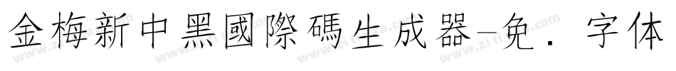 金梅新中黑國際碼生成器字体转换