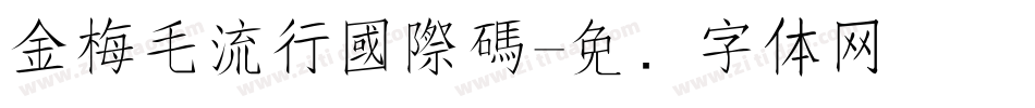 金梅毛流行國際碼字体转换