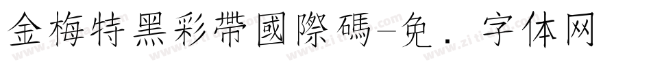金梅特黑彩帶國際碼字体转换