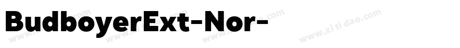 BudboyerExt-Nor字体转换