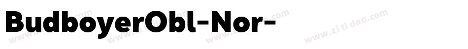 BudboyerObl-Nor字体转换