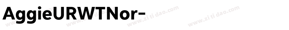 AggieURWTNor字体转换