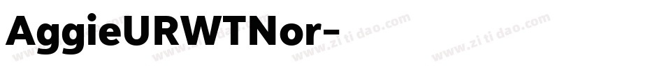 AggieURWTNor字体转换
