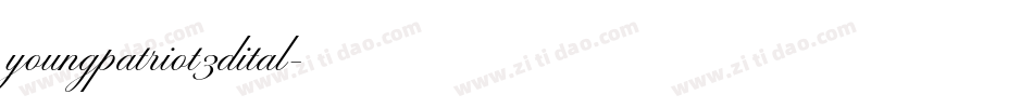 youngpatriot3dital字体转换