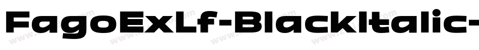 FagoExLf-BlackItalic字体转换