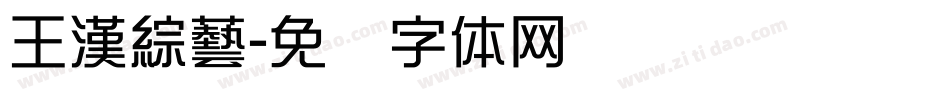 王漢綜藝字体转换