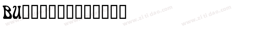 BU______字体转换