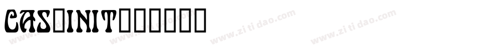 CAS_INIT字体转换