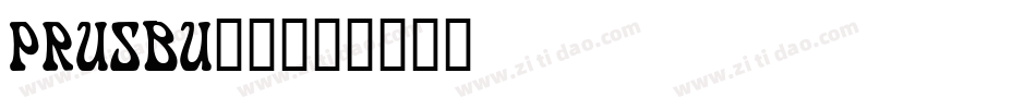 PRUSBU__字体转换