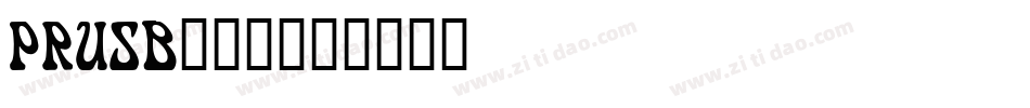 PRUSB___字体转换