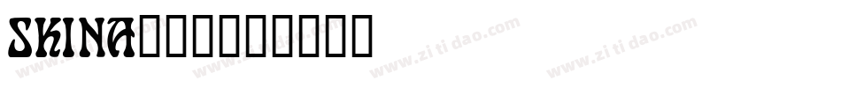 SKINA___字体转换