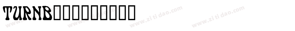 TURNB___字体转换