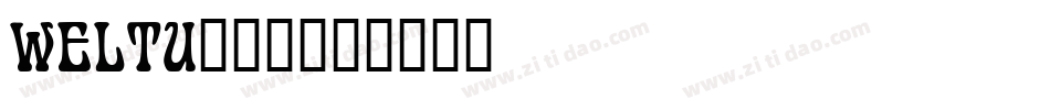 WELTU___字体转换