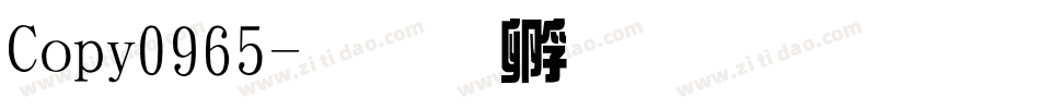 Copy0965字体转换