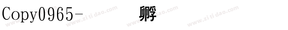 Copy0965字体转换