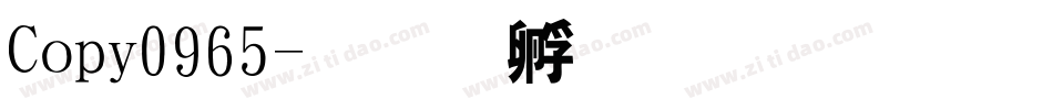 Copy0965字体转换
