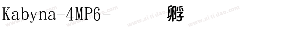 Kabina-4MP6字体转换