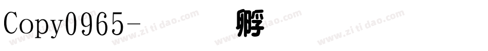 Copy0965字体转换