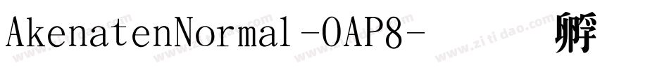 AkenatenNormal-OAP8字体转换