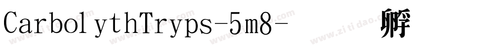 CarbolithTrips-5m8字体转换