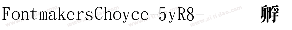 FontmakersChoice-5yR8字体转换