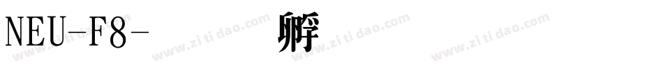 NEU-F8字体转换